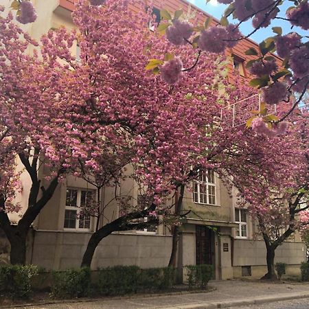 Апарт-Отель "Галаговъ" Úzhgorod Exterior foto